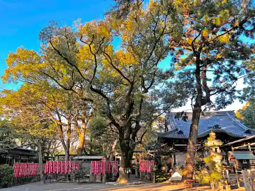 立坂神社の自然
