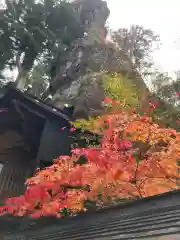 榛名神社の自然