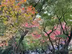 東福禅寺（東福寺）(京都府)