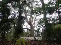 葭原神社(皇大神宮末社)の自然