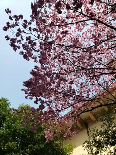 靖國神社の自然