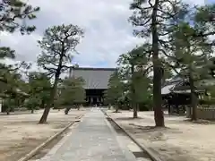 百萬遍知恩寺(京都府)