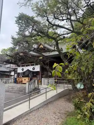 布多天神社の{uncategorized: "未分類", other: "その他", undefined: "問題あり", building: "その他建物", grave: "お墓", sacred_gate: "鳥居", guardian: "狛犬", statue: "像", buddha: "仏像", history: "歴史", nature: "自然", garden: "庭園", animal: "動物", pagoda: "塔", temizu: "手水舎", mountain_gate: "山門・神門", sanctuary: "本殿・本堂", subordinate: "末社・摂社", art: "芸術", scenery: "景色", jizo: "地蔵", ema: "絵馬", goshuin: "御朱印", omikuji: "おみくじ", items: "授与品その他", amulet: "お守り", goshuincho: "御朱印帳", eats: "食事", festival: "お祭り", votive_dance: "神楽", shichigosan: "七五三参", wedding: "結婚式", experience: "体験その他", initially: "初詣", around: "周辺", anti_infection: "感染症対策"}