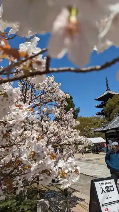 仁和寺(京都府)
