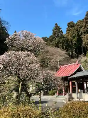 泉福寺の{uncategorized: "未分類", other: "その他", undefined: "問題あり", building: "その他建物", grave: "お墓", sacred_gate: "鳥居", guardian: "狛犬", statue: "像", buddha: "仏像", history: "歴史", nature: "自然", garden: "庭園", animal: "動物", pagoda: "塔", temizu: "手水舎", mountain_gate: "山門・神門", sanctuary: "本殿・本堂", subordinate: "末社・摂社", art: "芸術", scenery: "景色", jizo: "地蔵", ema: "絵馬", goshuin: "御朱印", omikuji: "おみくじ", items: "授与品その他", amulet: "お守り", goshuincho: "御朱印帳", eats: "食事", festival: "お祭り", votive_dance: "神楽", shichigosan: "七五三参", wedding: "結婚式", experience: "体験その他", initially: "初詣", around: "周辺", anti_infection: "感染症対策"}