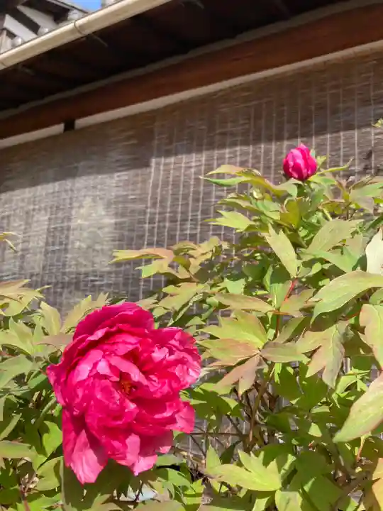 白旗観音寺(兵庫県)