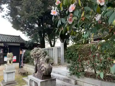 毛谷黒龍神社(福井県)