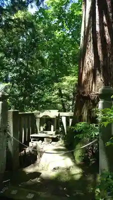 泰澄寺(福井県)