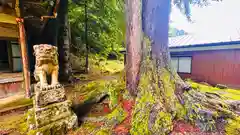 八幡神社(福井県)