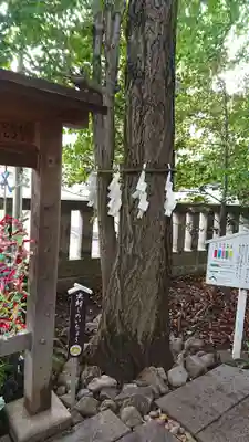 行田八幡神社のその他建物