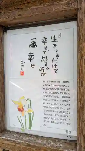 総林寺のおみくじ