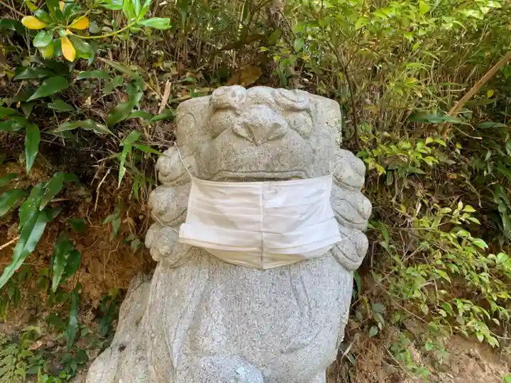 天照大神社の狛犬