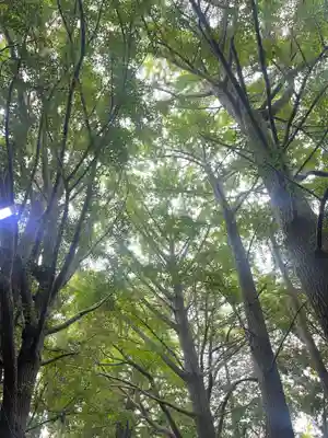 下総国三山　二宮神社(千葉県)