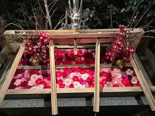 東京大神宮の手水舎