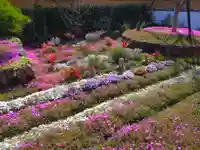 寿量山 速成寺の自然