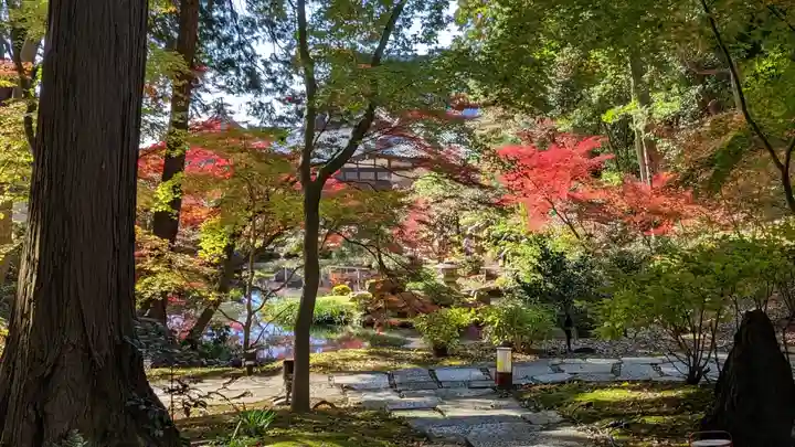 くろ谷 金戒光明寺(京都府)