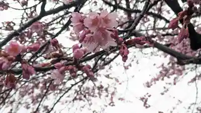 知恩院(京都府)