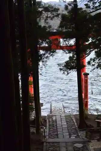 箱根神社(神奈川県)