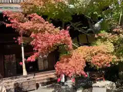 勝林寺(京都府)