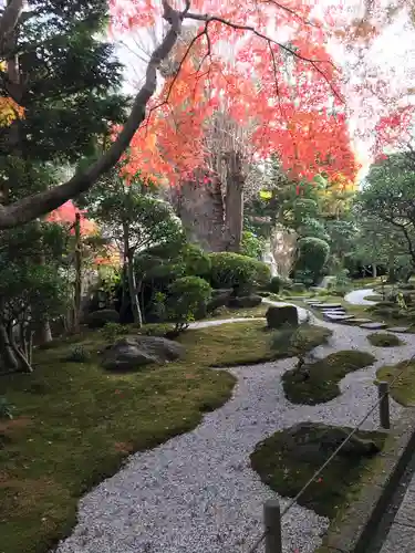 報国寺の庭園