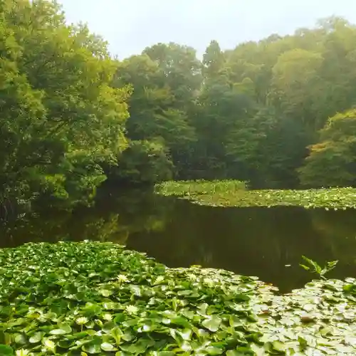 明治神宮の庭園