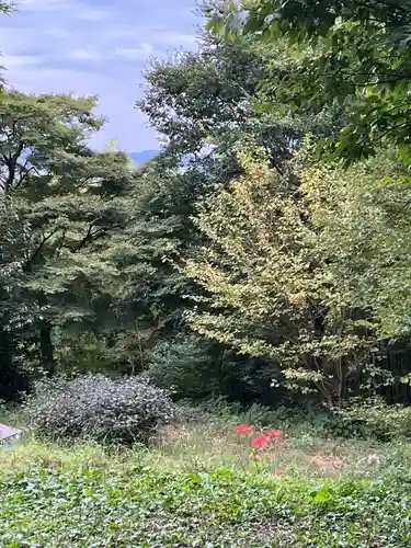 石清水八幡宮(京都府)