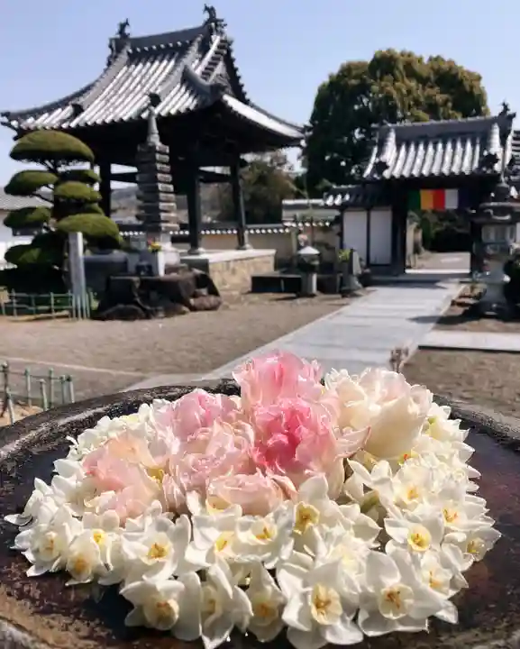 真言宗 善通寺派 薬王寺(香川県)