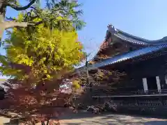 寛永寺(根本中堂)(東京都)