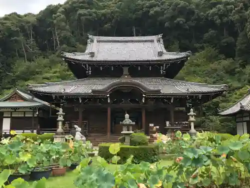 三室戸寺の本殿・本堂