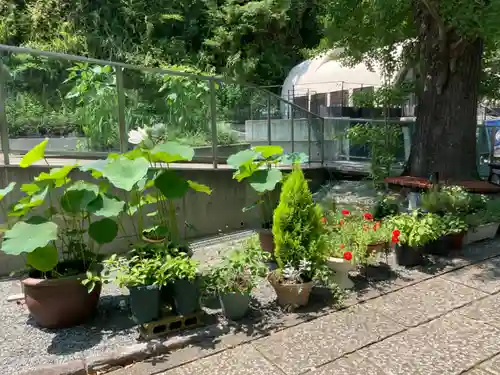 浄土寺(神奈川県)