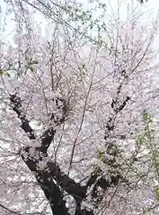 武蔵野坐令和神社(埼玉県)