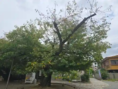 阿部野神社(大阪府)