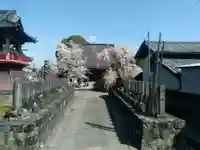 行善寺の本殿・本堂