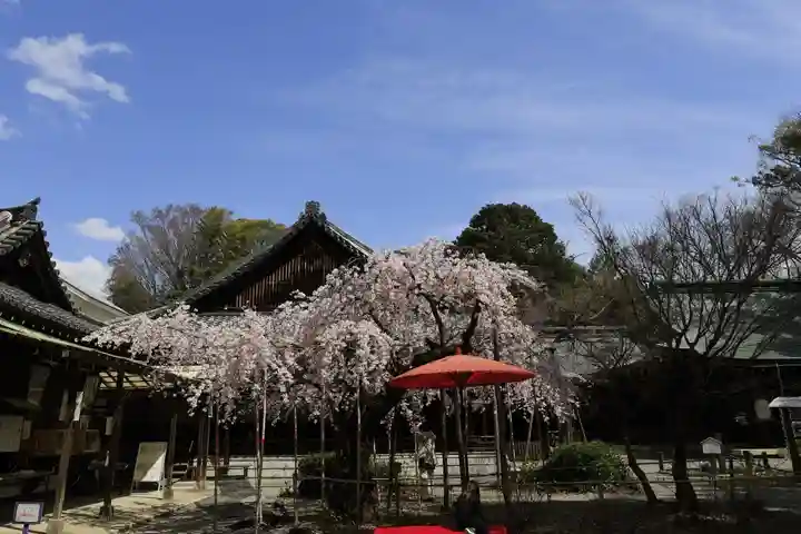 水無瀬神宮(大阪府)