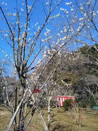 成田山新勝寺(千葉県)