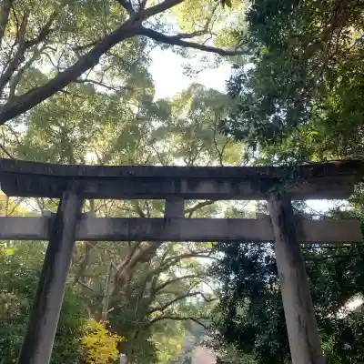 熊野三所神社(和歌山県)