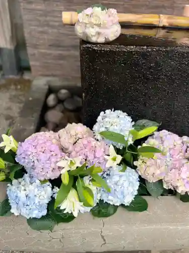 上尾御嶽神社の手水舎