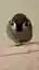 ﾐﾂﾞさんのプロフィール画像