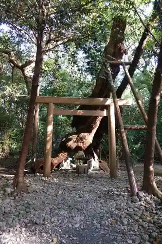 月夜見宮（豊受大神宮別宮）の鳥居