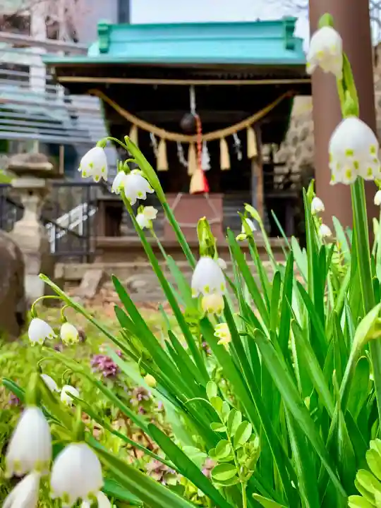 藤坂神社(宮城県)