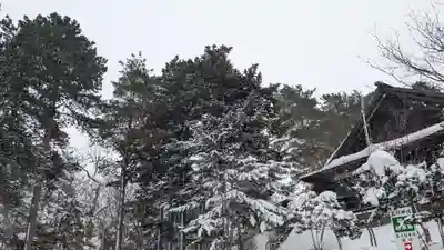 上川神社(北海道)