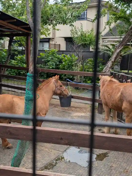 五方山熊野神社(東京都)