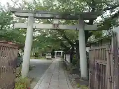 吒枳尼天（法伝寺）(京都府)