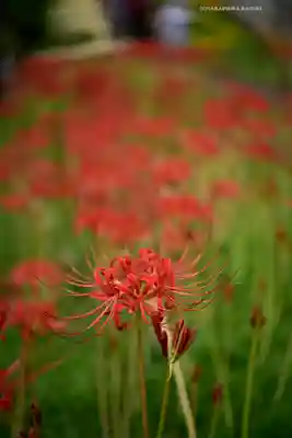 横浜　西方寺(神奈川県)