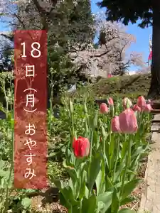 高司神社〜むすびの神の鎮まる社〜の自然(2022年04月16日(土) 22時15分26秒投稿)
