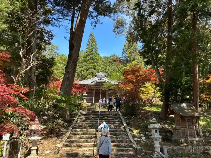 天台宗 五大山 白毫寺の{uncategorized: "未分類", other: "その他", undefined: "問題あり", building: "その他建物", grave: "お墓", sacred_gate: "鳥居", guardian: "狛犬", statue: "像", buddha: "仏像", history: "歴史", nature: "自然", garden: "庭園", animal: "動物", pagoda: "塔", temizu: "手水舎", mountain_gate: "山門・神門", sanctuary: "本殿・本堂", subordinate: "末社・摂社", art: "芸術", scenery: "景色", jizo: "地蔵", ema: "絵馬", goshuin: "御朱印", omikuji: "おみくじ", items: "授与品その他", amulet: "お守り", goshuincho: "御朱印帳", eats: "食事", festival: "お祭り", votive_dance: "神楽", shichigosan: "七五三参", wedding: "結婚式", experience: "体験その他", initially: "初詣", around: "周辺", anti_infection: "感染症対策"}