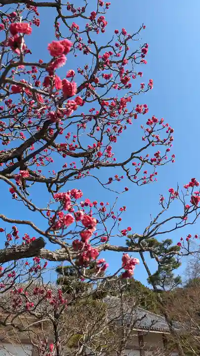 智積院(京都府)