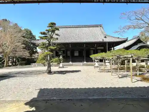 本誓寺(東本誓寺)(滋賀県)