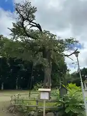 弟子屈神社(北海道)