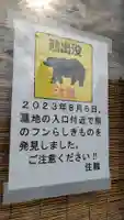 智恵光寺の動物
